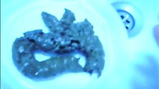 Hot milf shitting and pissing in the bathtub