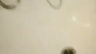 Amateur young gal with tits poop teasing