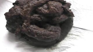 Leopard sandals and sexy poop