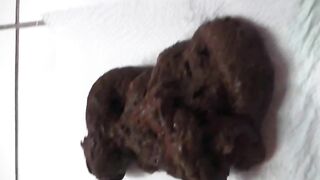 Shy amateur lady spread legs for creamy poop