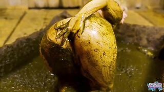 Lovely Dung Bath And Ass Fingering Play