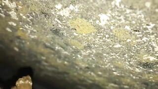 Messy shit on the road