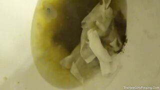 Cute amateur brunette wife poops in the toilet