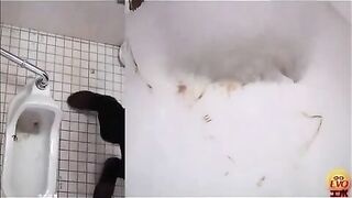 Amateur Japanese lady takes out thick turd