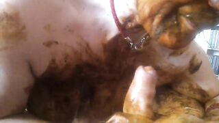 Dirty mature wife sucking poopy cock