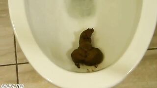 Brunette slut takes a big shit in the toilet