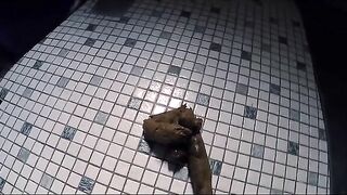 Mature lady dropping heavy shit