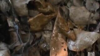 Chubby ass gal pooping in the backyard