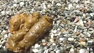 Gorgeous poop on the rocks