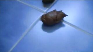 Beautiful ass gal shitting