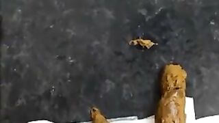 Busty lady births huge shit