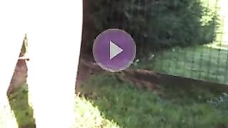 UK babe poops in the garden