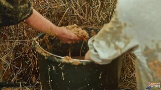 Horse Dung Lesbian Smearing