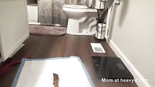 Thick booty gal shitting closeup