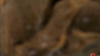 Shitting on all fours pov