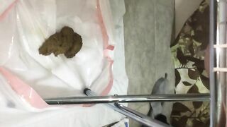 Soft creamy shit from a portable toilet