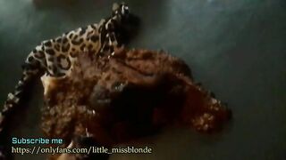 5 Days Messy Leopard Panty