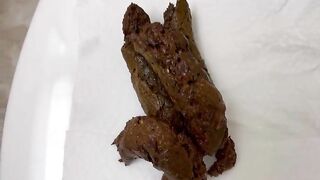 August Four Loads on Toilet Seat