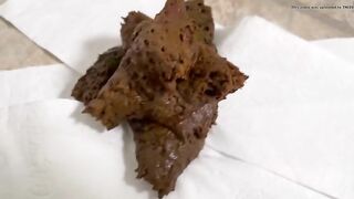 Big Potty Chair Shitting