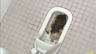 Broken toilet and pile of shit