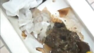 Broken toilet and pile of shit