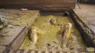 Brooke Maddison Dung Erotica Solo