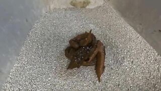 Cute Cosplay and shit