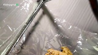 Sophias Potty Chair Shit Show