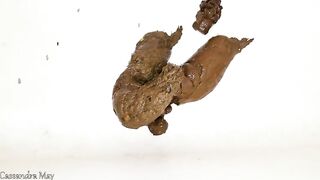 Kinky lady dropping long fat turd