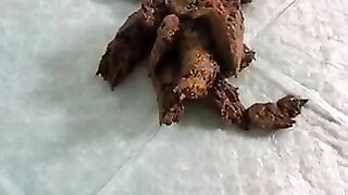 Trimmed pussy lady showing her hard turds