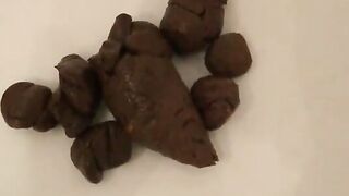 Beautiful hard poop in closeup