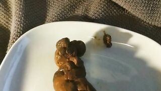 HD Poop from barstool