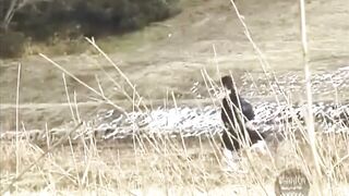 Japanese gal caught pooping in the forest