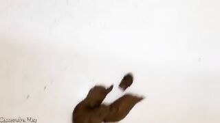 Pretty ass shitting closeup