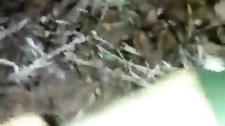 Heavy sht in the backyard