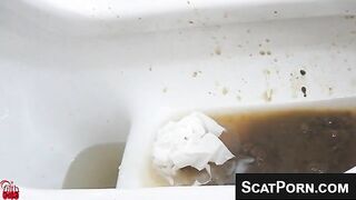 Asian Women Destroy TheToilets With Their Messy Scat