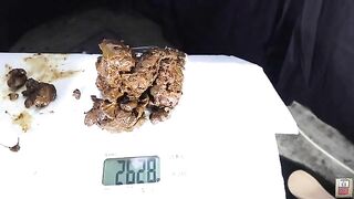 Pretty face and beautiful poop