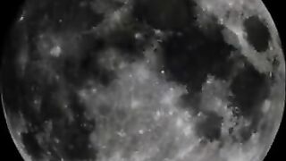 Beauty girl gets full covered