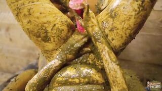 Cozy Corner with cowshit and smearing