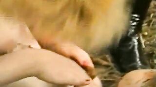 Dirty Outdoor Scat Games