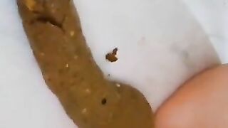 Domination poo dropping shit