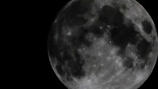 Sexy brunette girlfriend sucking poop covered cock