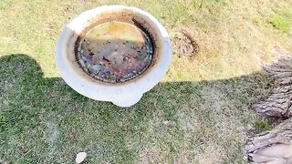 Girl pisses in her yard