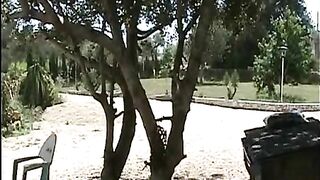 Nasty Latina pisser babe