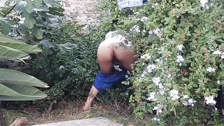 Outdoor pee in the backyard
