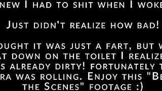 Beautiful lovely shit in the toilet