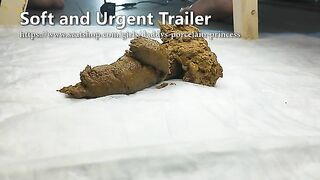 Beautiful lovely shit in the toilet