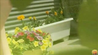 Three Japanese ladies shitting