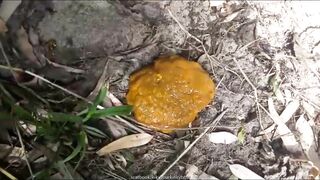 BBW with fat pussy pissing and pooping