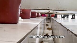 Beautiful women poops in the toilet- Voyeur